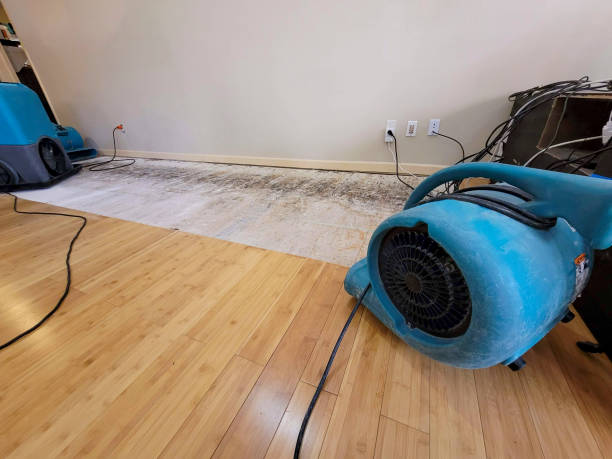 Professional Water Extraction technician working in Haydenville, OH